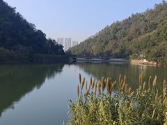 -桃花岭景区