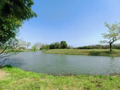 -良渚古城遗址公园