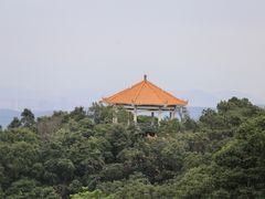 -广州市帽峰山景区