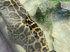 -杭州野生动物世界