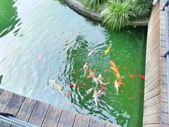 -上海虹桥宾馆(郁锦香品牌酒店)
