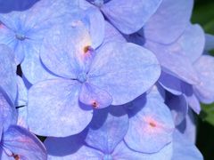 -Wagas沃歌斯(大学路店)