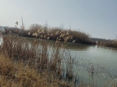 -九里湖国家湿地公园