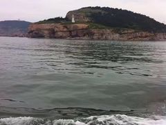 -长岛万鸟岛