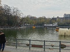 -莲湖公园