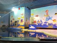 -太平洋海底世界