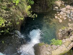 -大奇山国家森林公园