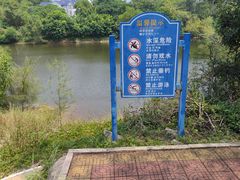 -广东惠东海龟国家级自然保护区