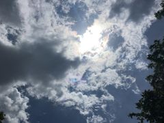 -黎坪国家森林公园