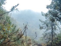 -南山植物园