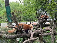 -杭州少年儿童公园