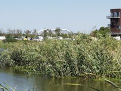 -春花秋色城市公园