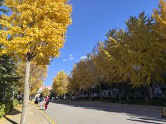 -中国政法大学(昌平校区)