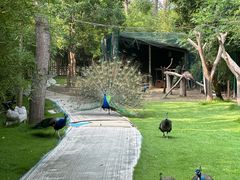 -合肥滨湖国家森林公园