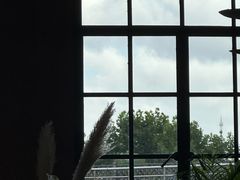 -滇野云南野生菌餐厅(陕西南路店)