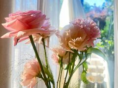 -Tomacado花厨(One ITC店)