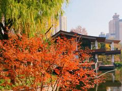 -和平公园