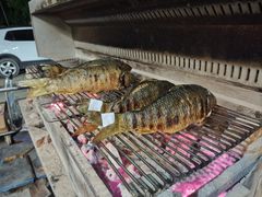 -杨合林啊兰烤鱼