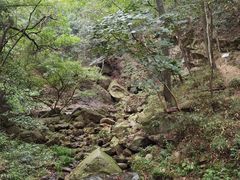 -波尔登森林公园