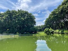 -广州长隆飞鸟乐园