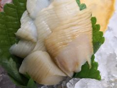 象拔蚌-菊上料理(蜀山银泰百货店)