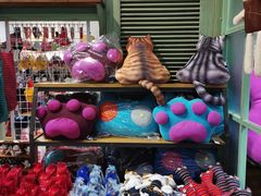 -猫咪博物馆(顶澳仔猫街店)