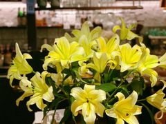 -Apollo·西班牙小酒馆(安福路店)