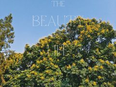 -成都市活水公园