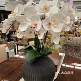 周末过节来这里看看