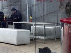 -UNI UNI(环亚凯瑟琳店)