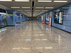 -大龙山(地铁站)