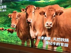 -陈记顺和潮汕牛肉火锅(棠德南路店)