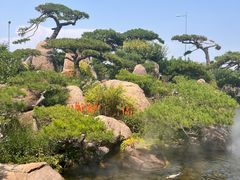 -罗红摄影艺术馆