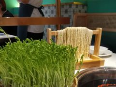 -粤小煲鲜汤猪肚鸡(丹尼斯二天地店)