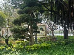 -顺峰山公园