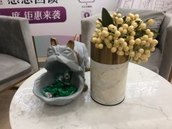 -伊丽莎白医疗美容
