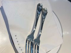 -BLACKSWAN黑天鹅(环球店)
