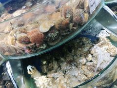 -海之味海鲜大咖·家常菜
