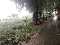 -歆和农庄·烤全羊