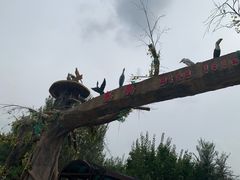 门面-沈阳鸟岛