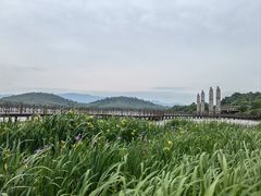 -池州市平天湖风景区