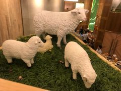 -额尔敦传统涮(公园西路店)