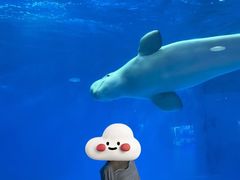 -海合安成都极地海洋公园