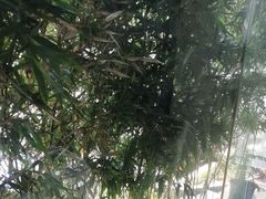 -一江水食府(后湖店)