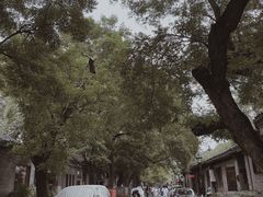 -北京国子监胡同