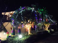 -金山农民画村-枫泾波兰倒置屋