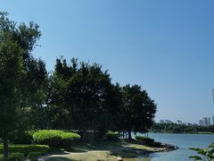 -飞来湖湿地公园