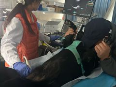 -北京赛佳动物医院