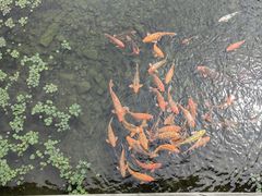 -蓬莱阁景区