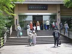 -溱湖国家湿地公园